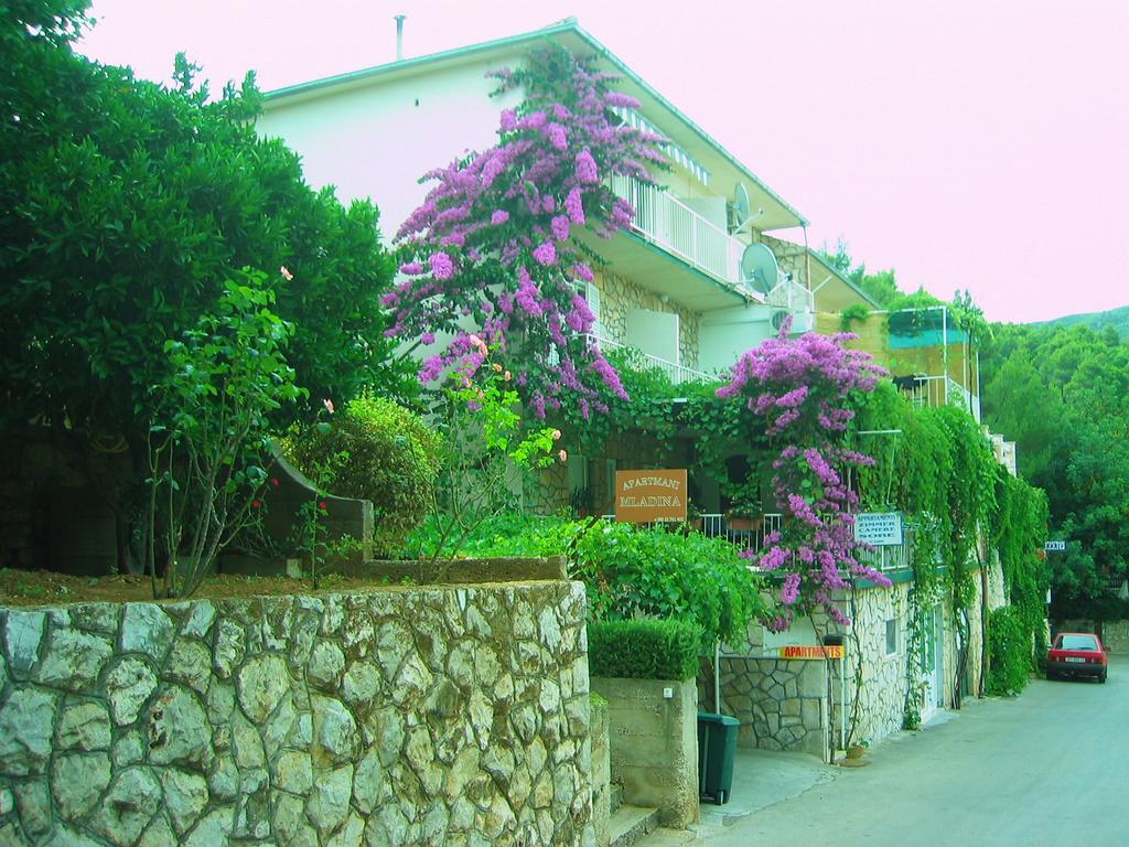 Villa Volga ييلسا المظهر الخارجي الصورة